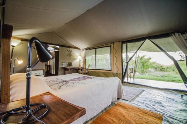 Double Tent Room