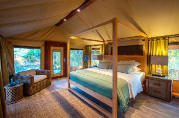Luxury Guest Suites (6 Rooms)