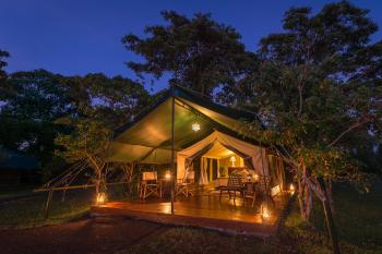 Safari Tent