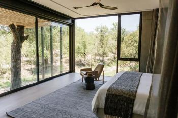 Luxury Suites Cheetah Plains 