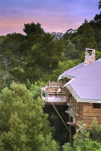 Tsala Treetop Suite