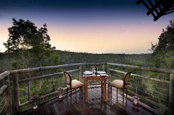 Tsala Treetop Suite