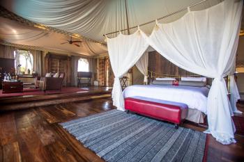 The Duba Plains Suite