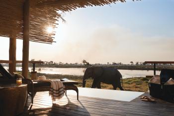 Deluxe Tented Room at Eagle Island Lodge 