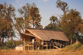 Deluxe Tented Room at Eagle Island Lodge 