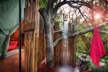 Luxury Safari Tent at Jack's Camp 