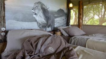 Luxury Tented Cottage