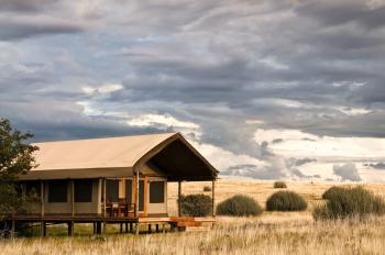 Wilderness Desert Rhino Camp 