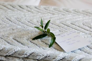 Olive Grove Guesthouse