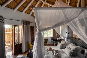 Sanctuary Sussi 