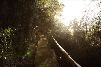 Tree House - Secluded Zambezi Retreat