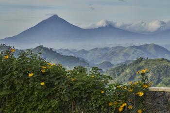 Deluxe Garden Cottages - Nkuringo Bwindi Gorilla Lodge