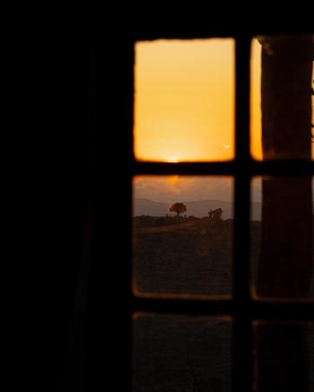 Stand-Alone Cottages