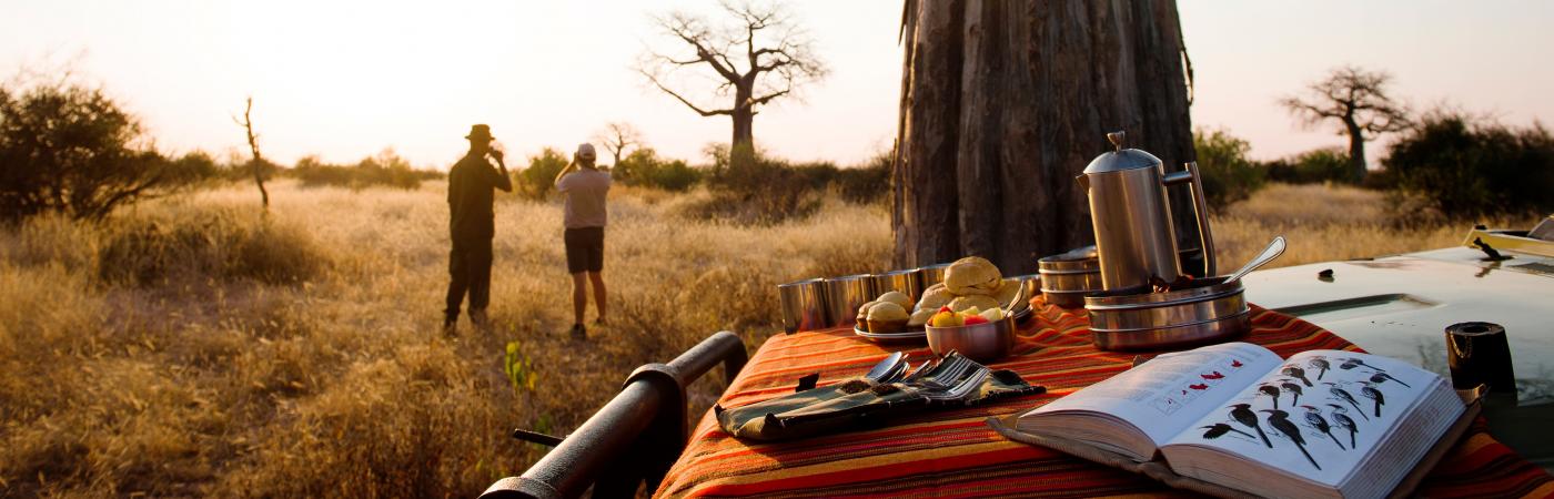 Bush Breakfast Picnic
