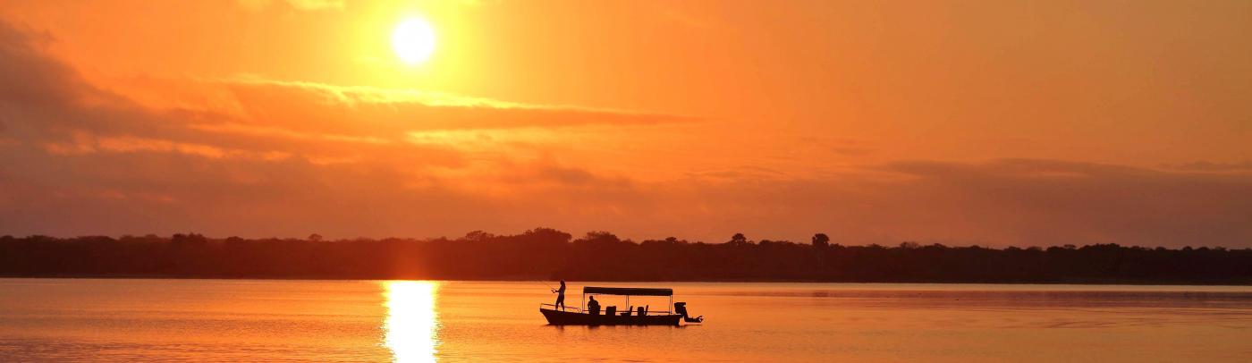 Experiential Safari Experiences