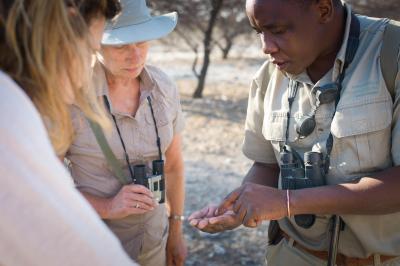 Immerse Yourself in Bush Walks