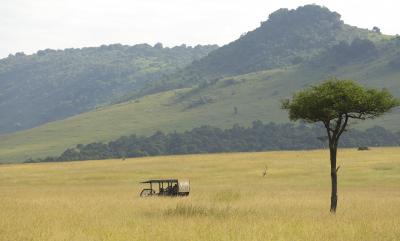 Safari game drive