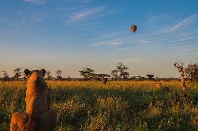 Hot Air Balloon Safari – Serengeti