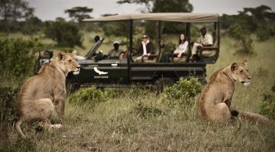 Game drives