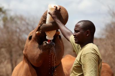 The Mathews Range And Reteti Elephant Sanctuary