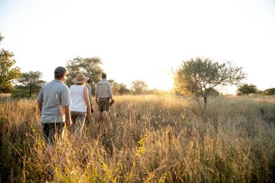 Guided Safari Walks