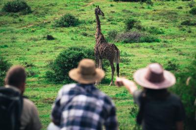 Guided Walking Safaris