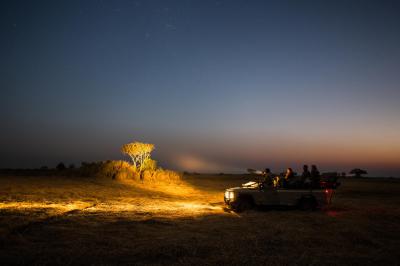 Wilderness Shumba – Night Drives