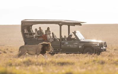 Game Drives