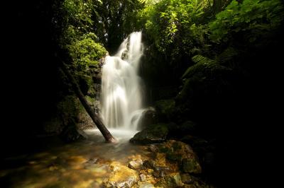 Waterfall Walk (2-3 Hours)