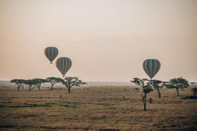 Balloon Safari 