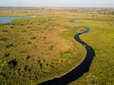 Scenic Helicopter Flights 