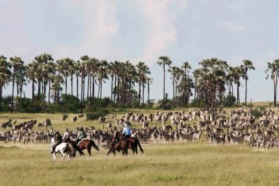 San Camp Horse Safaris