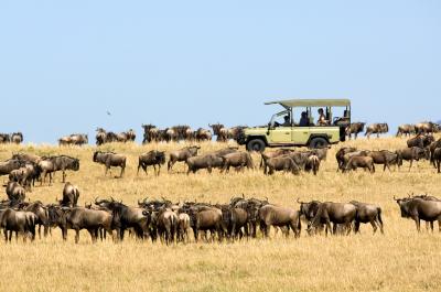 Game Drives