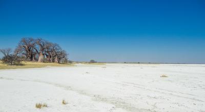 Nxai Pan Day Trip (Three Night Stay)