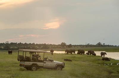 Game Drives