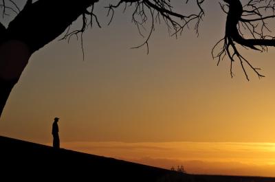 Scenic Sundowner Excursion