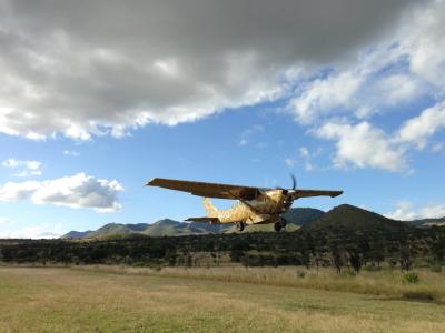 Kilimanjaro Flight: Aerial Elegance