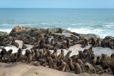 Excursion to the Skeleton Coast