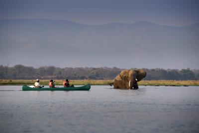 Canoeing Safari