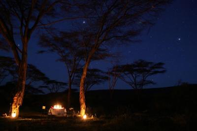 Bush Breakfast, Bush Lunch and Bush Dinner