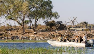 Boteti River Boat Cruises