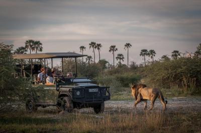 Game Drives