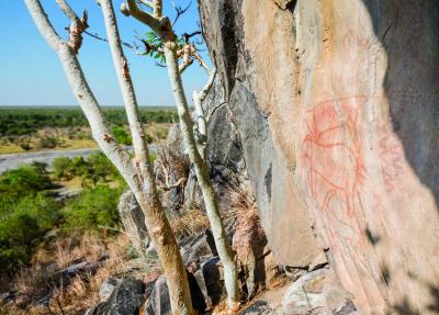 Bushmen Paintings and Baobab Trees