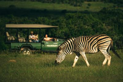 Game Drives