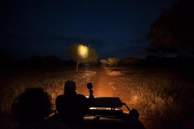 Night game drive