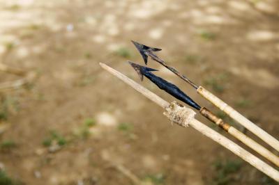 Hadzabe Bushmen Experience