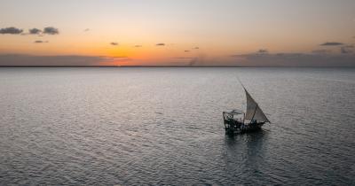 Dhow cruise