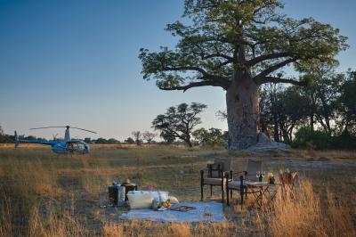 Helicopter Safaris 