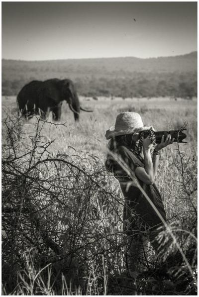 Photographic Safaris