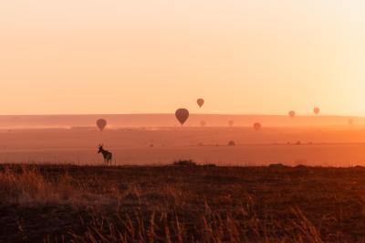 Balloon Safari
